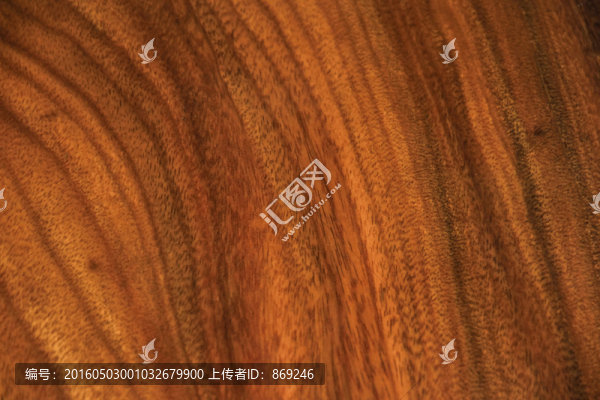 木紋實(shí)拍