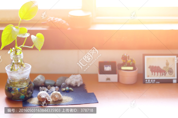 綠蘿花瓶