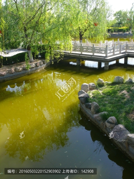 城市公園