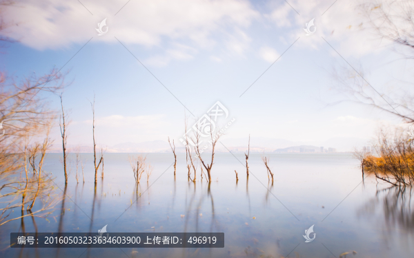 洱海濕地公園