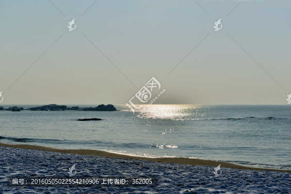 海岸