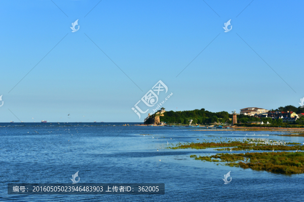 海岸
