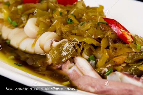 魷魚