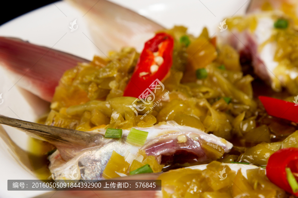 鯧魚