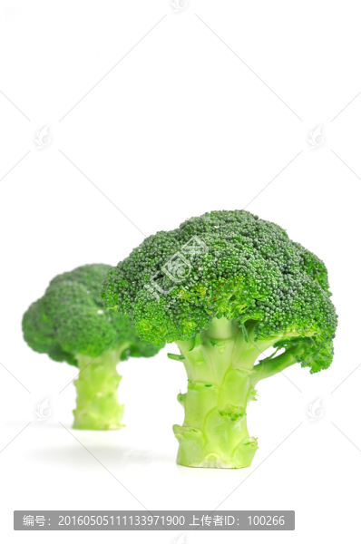 新鮮西蘭花