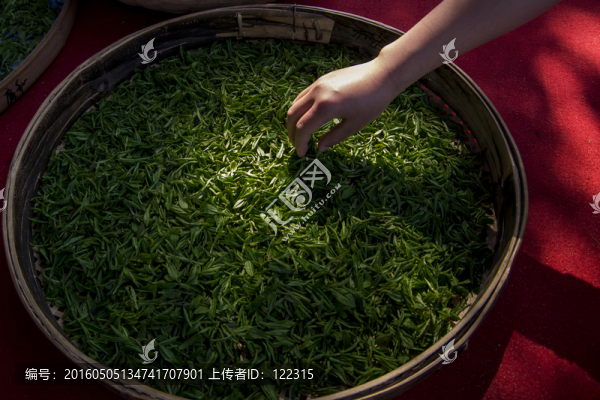 茶葉