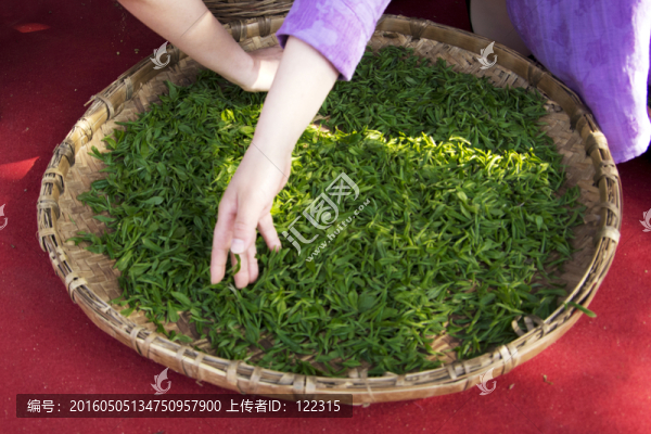 茶葉