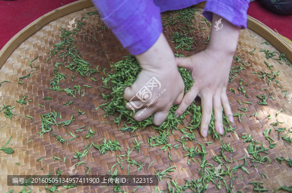 手工制茶圖解