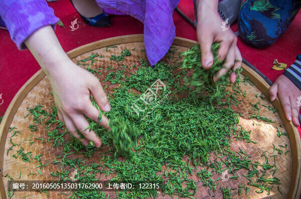 手工制茶圖解