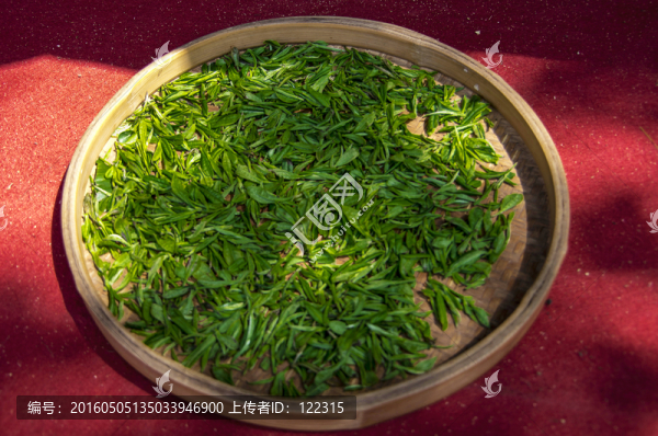 鮮茶