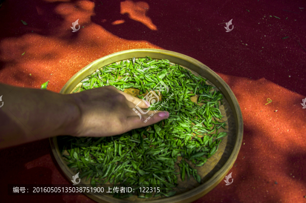 鮮茶