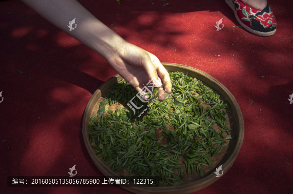 綠茶