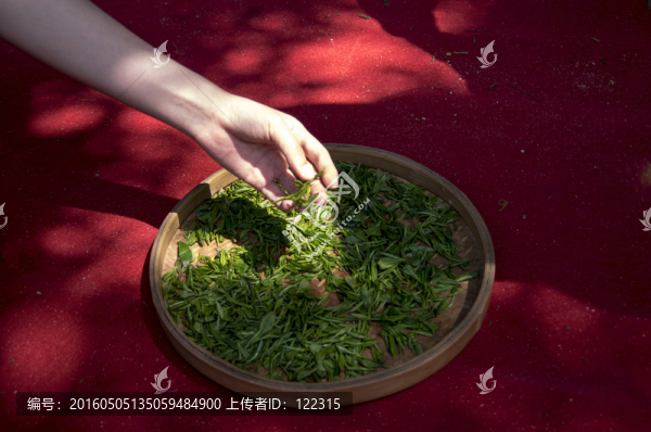 茶葉加工