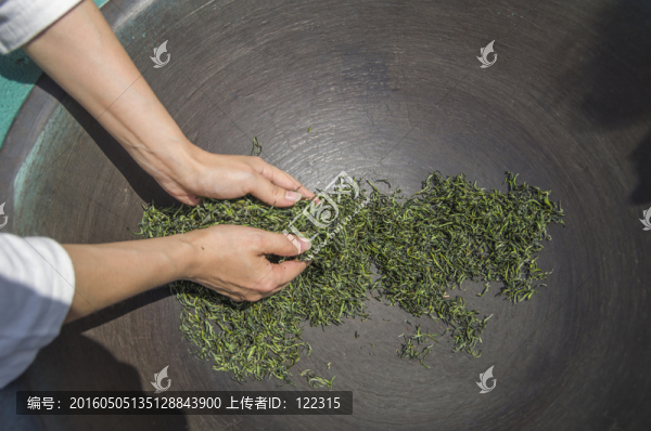 春茶加工制作