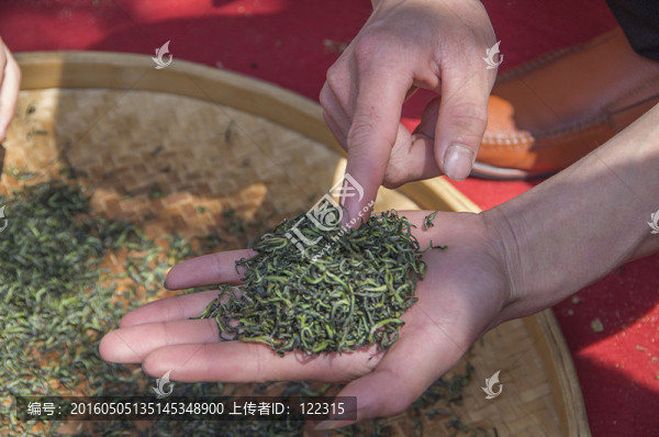 手工制茶