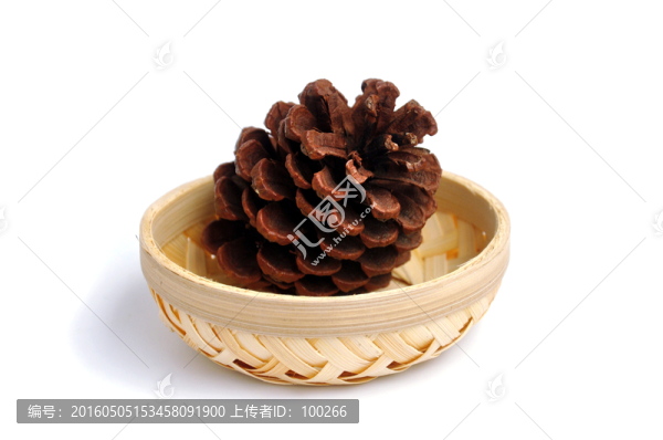 松果