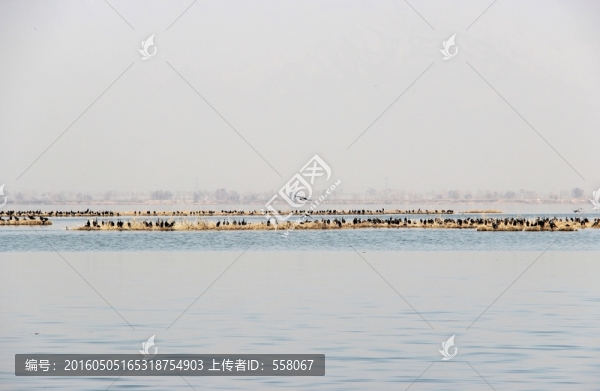 銀川沙湖風(fēng)光
