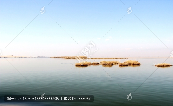 銀川沙湖風(fēng)光