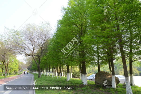 林蔭路