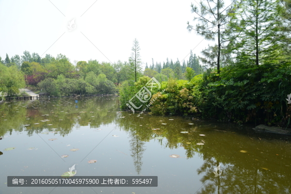 湖水