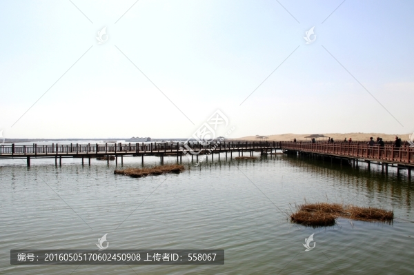 銀川沙湖風(fēng)光