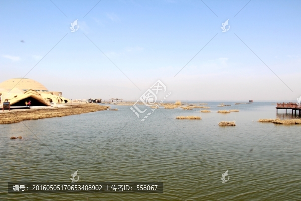 銀川沙湖風(fēng)光