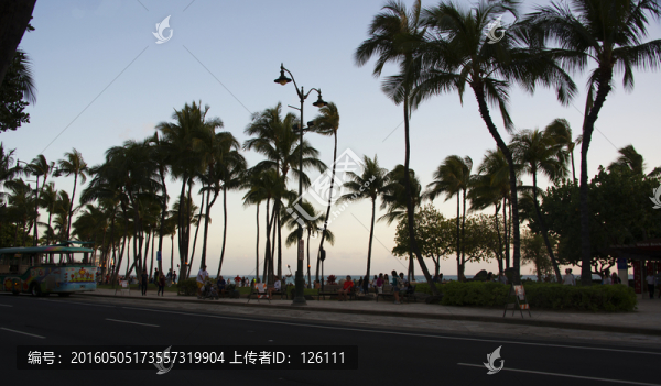 夏威夷風光