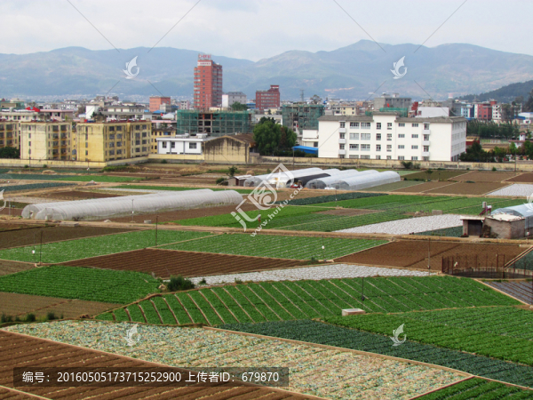 田園和城鎮(zhèn)