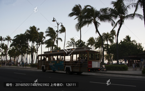 夏威夷風(fēng)光