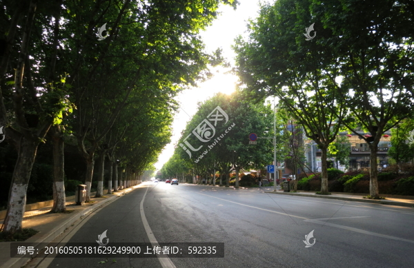 道路