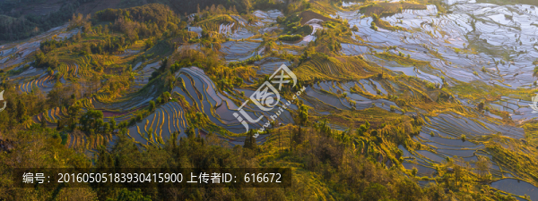 紅河元陽哈尼梯田