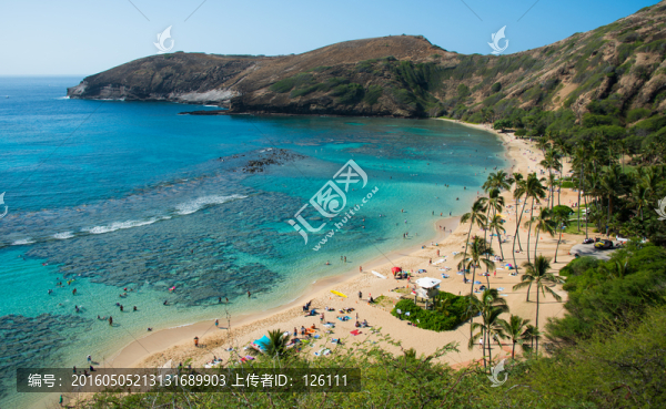 夏威夷風(fēng)光