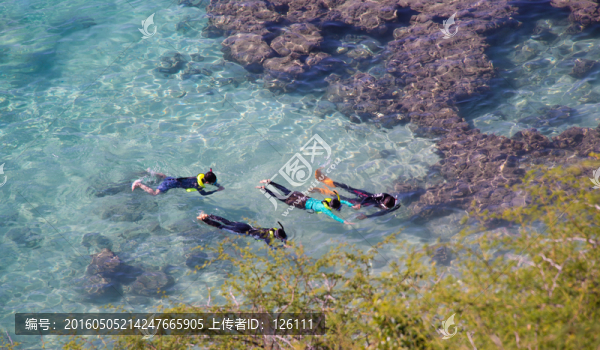 夏威夷風(fēng)光