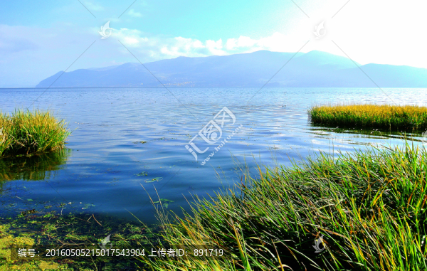 洱海風(fēng)光之灘涂