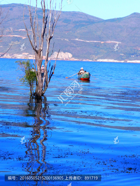 洱海泛舟