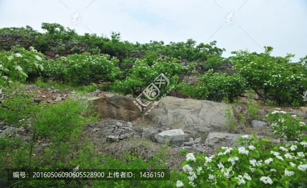 果園