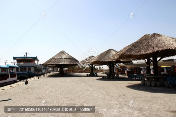 銀川沙湖風(fēng)光