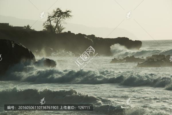 夏威夷風(fēng)光