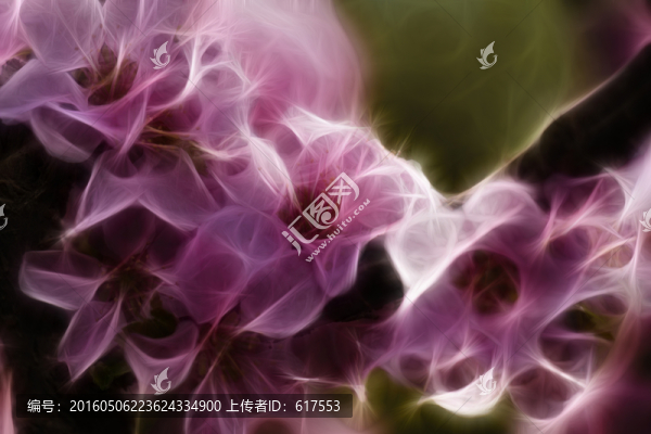 桃花抽象畫
