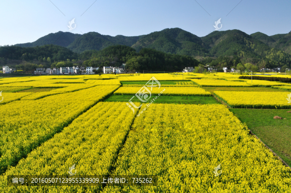 新安江十里畫廊風(fēng)光