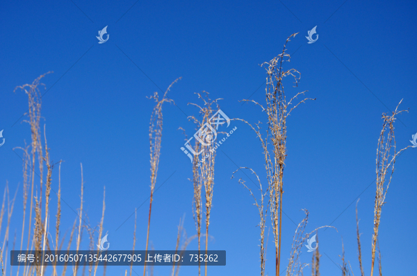江西武功山風(fēng)光