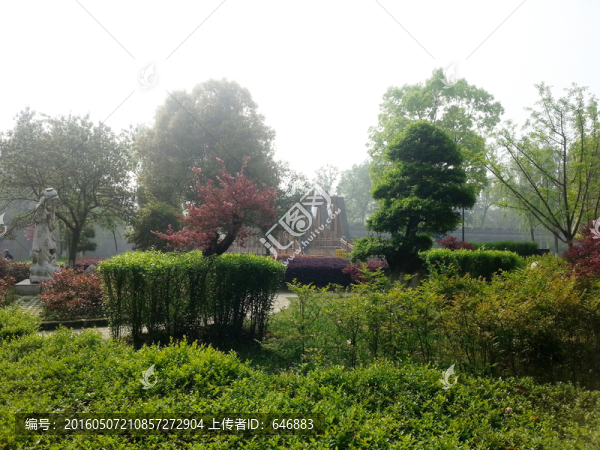 花園,樹木