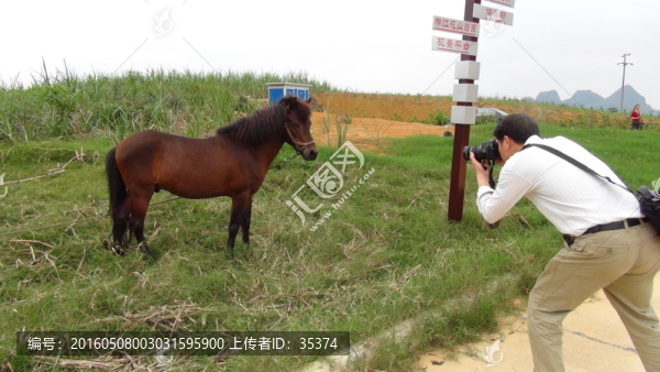 馬