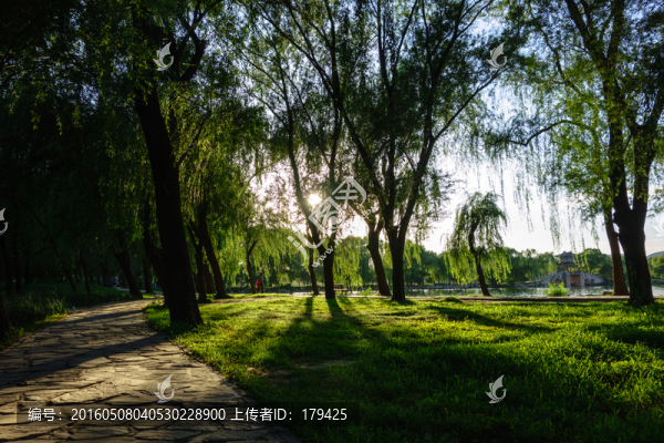 北京頤和園樹林草坪林間小道