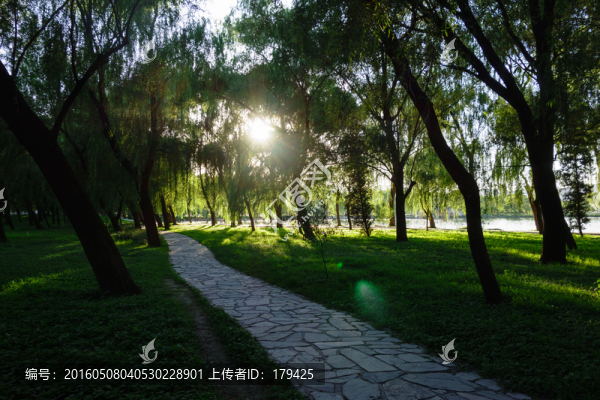 北京頤和園樹林草坪林間小道
