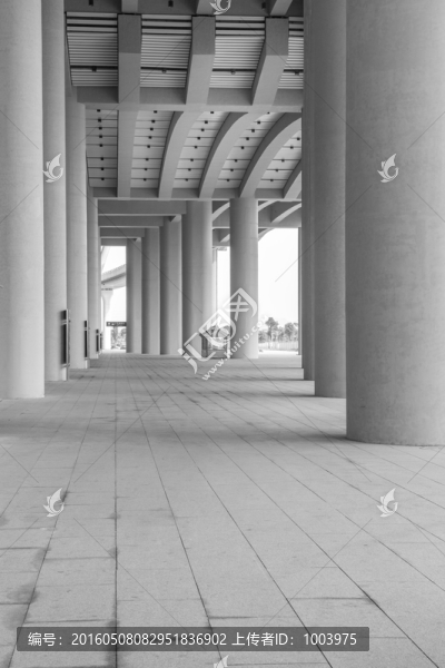 高鐵動(dòng)車站,,黑白建筑