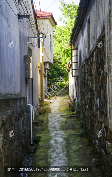 楊灣古村