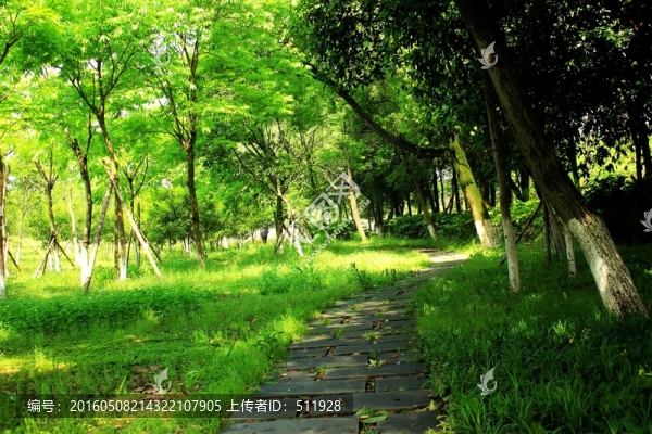 溫州甌海新區(qū)風(fēng)光