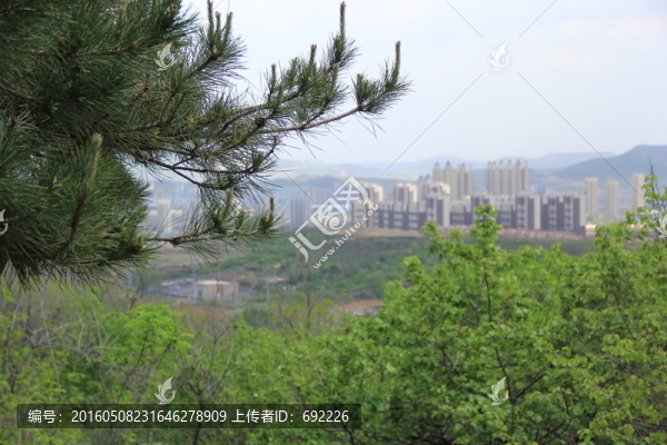 山林