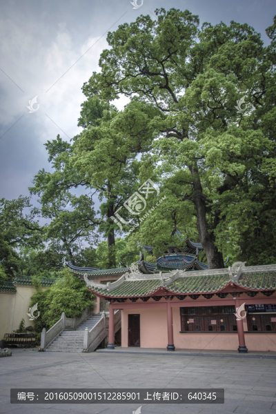 南華寺